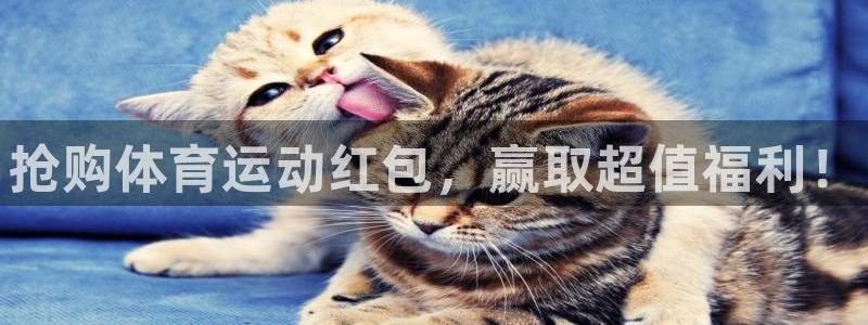 3377体育官网下载：抢购体育运动红包，赢取超值福利！