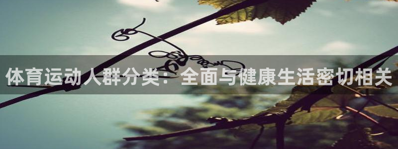 3377体育com：体育运动人群分类：全面与健康生活密切相关