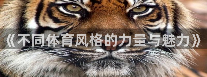3377体育com：《不同体育风格的力量与魅力》