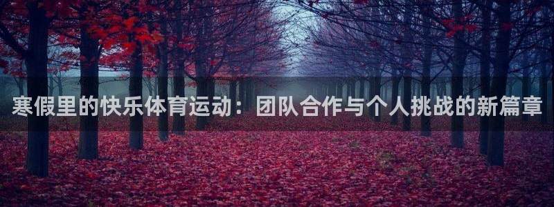 3377体育在线：寒假里的快乐体育运动：团队合作与个人挑战的新篇章