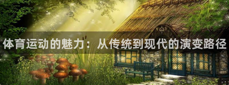3377体育app官方下载：体育运动的魅力：从传统到现代的演变路径