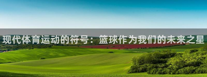 3377体育官网入口下载最新：现代体育运动的符号：篮球作为我们的未来之星
