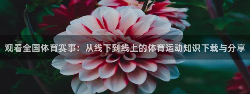 3377体育网页登录入口：观看全国体育赛事：从线下到线上的体育运动知识下载与分享