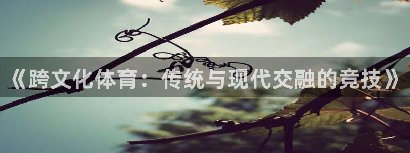 3377体育(中国)官方网站：《跨文化体育：传统与现代交融的竞技》