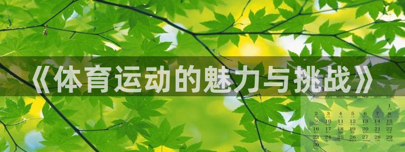 3377体育全网