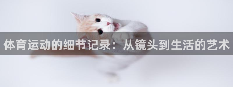 3377体育是正规的吗：体育运动的细节记录：从镜头到生活的艺术