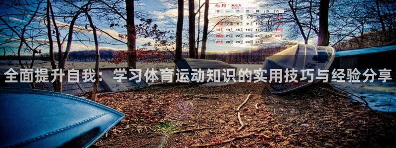 3377体育官网入口下载最新