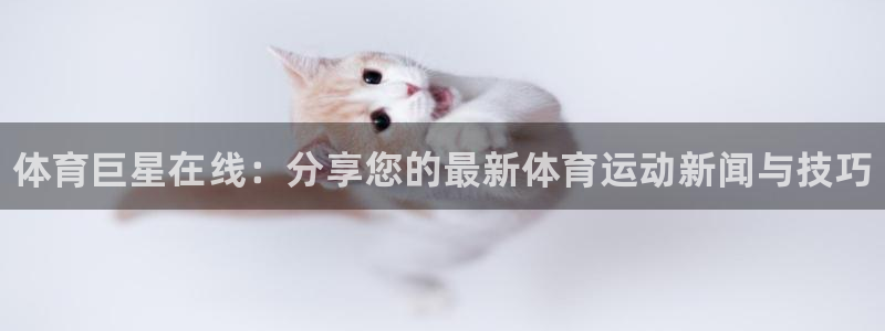 3377体育官网