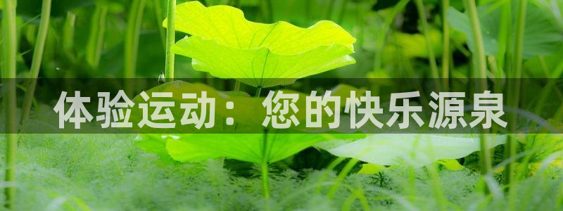 3377体育app官网下载地址