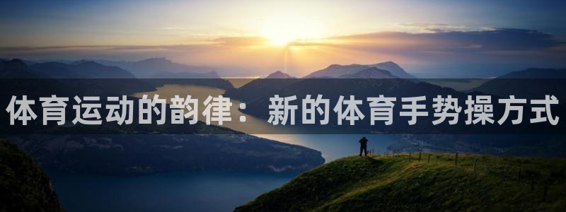 3377体育官网入口网页版