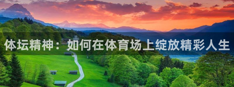 3377体育中国官方网站入口