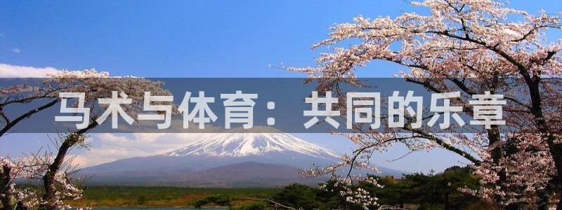 3377体育网页登录入口
