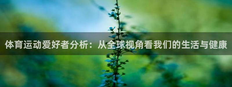 3377体育手机平台
