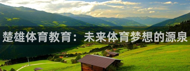 3377体育手机平台