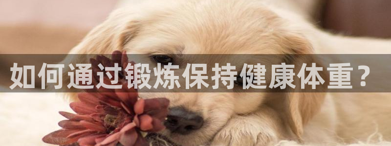 3377体育官网入口下载最新