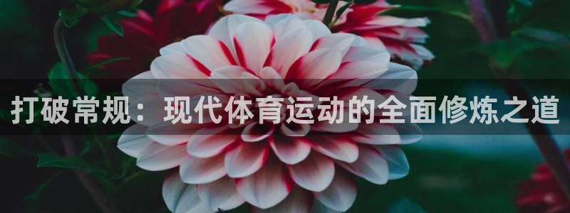 3377体育com