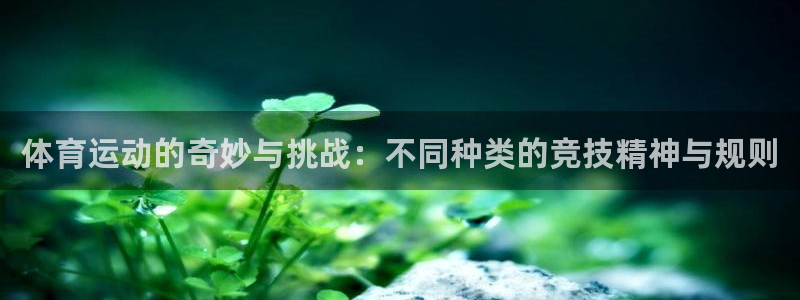3377体育官网入口网页版
