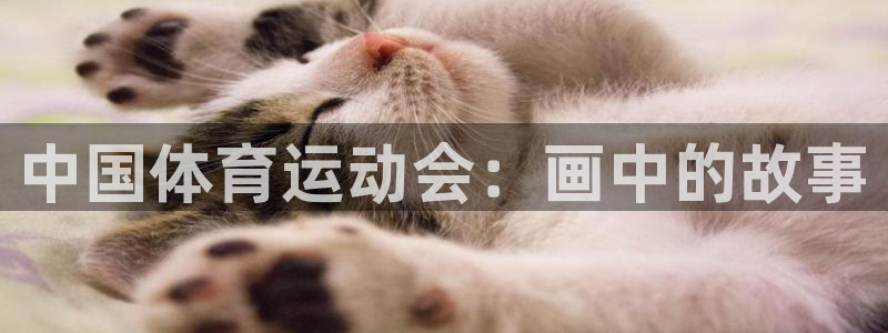3377体育是正规平台吗
