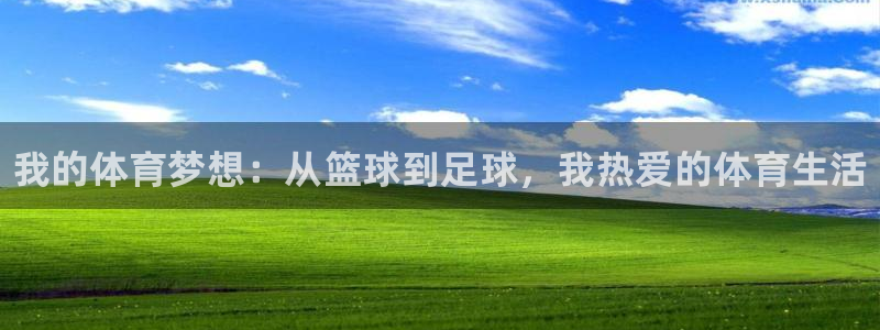 3377体育app下载安装