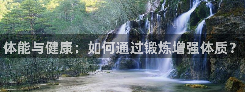 3377体育全网