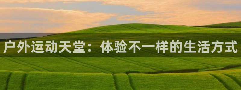 3377体育在线登录官网入口