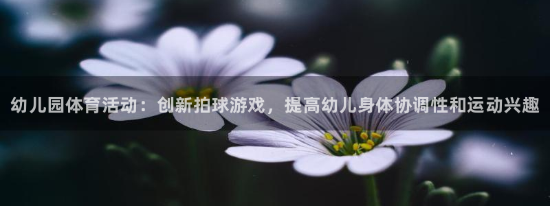 3377体育手机平台