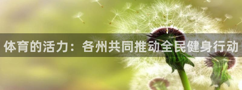 3377体育全网