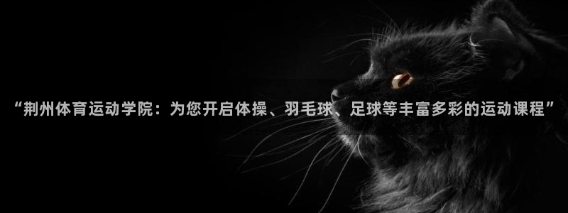 3377体育全网