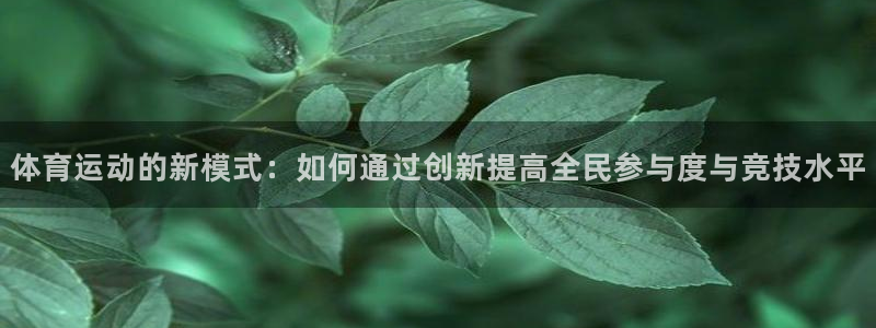 3377体育是正规的吗：体育运动的新模式：如何通过创新提高全民参与度与竞技水平
