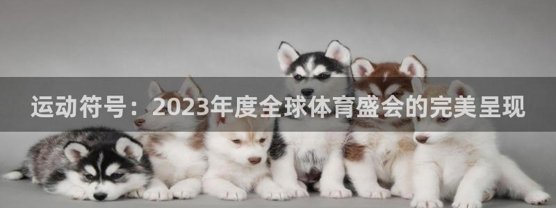 3377体育官网入口网页版：运动符号：2023年度全球体育盛会的完美呈现