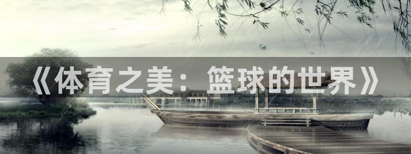 3377体育在线登录官网入口：《体育之美：篮球的世界》