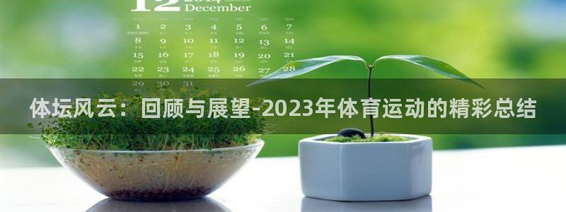 3377体育官网入口网页版：体坛风云：回顾与展望-2023年体育运动的精彩总结