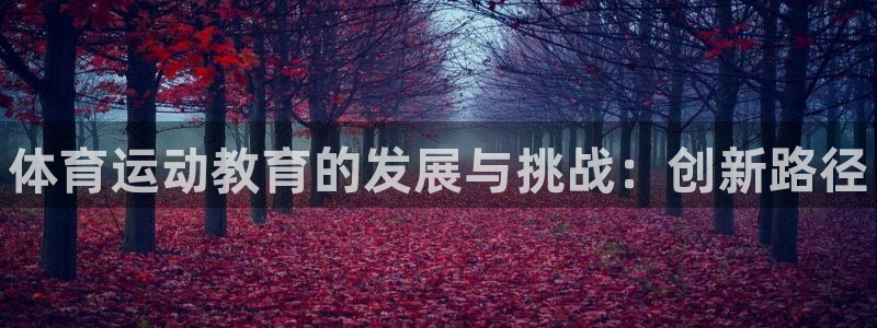 3377体育官网入口网页版：体育运动教育的发展与挑战：创新路径