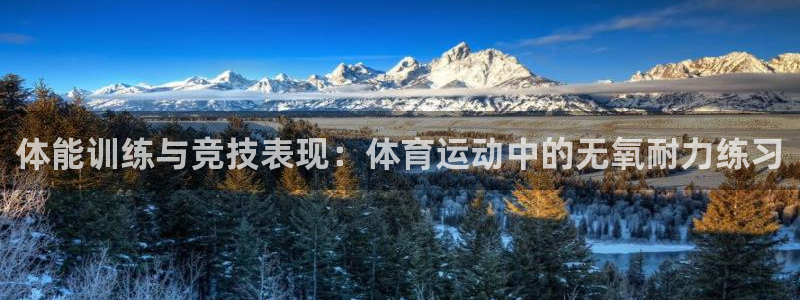 3377体育平台：体能训练与竞技表现：体育运动中的无氧耐力练习