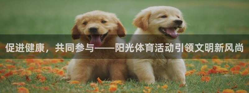 3377体育app官网下载地址：促进健康，共同参与——阳光体育活动引领文明新风尚