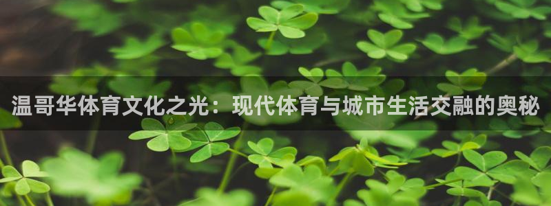 3377体育app官网下载地址：温哥华体育文化之光：现代体育与城市生活交融的奥秘